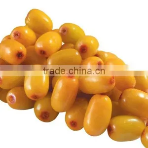 Certificated Seabuckthorn Berry Oil thumbnail-3
