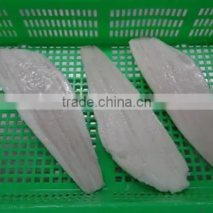 Wholesale Frozen Greenland Halibut Fish Fillet thumbnail-2