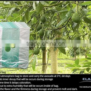 Pineapple Bag thumbnail-4