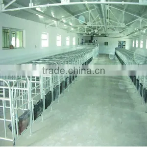 PVC Stall Elevated Sow Crate thumbnail-1