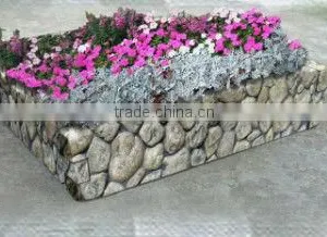 Resin Plant RSPTG-118B thumbnail-1