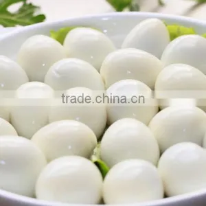 High Quality 50kg/h, 100kg/h,150kg/h, 250KG/H New Design Quail Egg Peeler Machine thumbnail-4