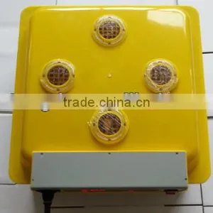 Newest Mini Egg Incubator For 48 Chicken Eggs For Sale With Factory Price thumbnail-1