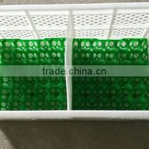 PE Chicken Egg Tray for 30 Eggs thumbnail-2
