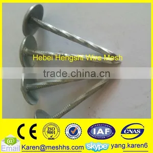 Roofing Coil Nails thumbnail-1