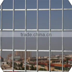 High Quality Galvanized Welded Wire Mesh Price / Welded Wire Mesh Factory thumbnail-1