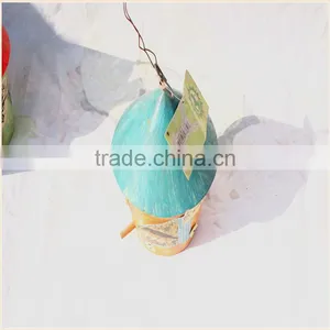 China Supplier Crafts Hang Christmas Wooden Bird House Wholesale Modern Design Wooden Bird House High Quality Wooden Bird House thumbnail-3