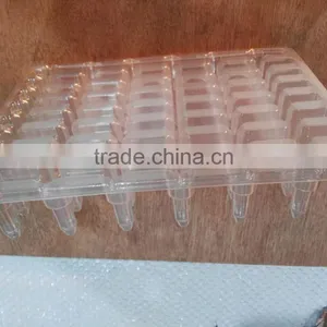 Custom Vacuum Thermoforming Clear PET Plastic Tray Wholesale thumbnail-3