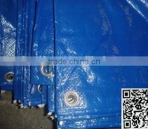 Durable Coated PE Tarpaulin, PE Tarpaulin Roll thumbnail-4
