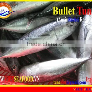 FROZEN W/R BULLET TUNA thumbnail-1