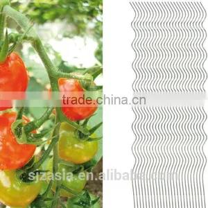 Tomato Spiral Rod 180cm x 7mm With 7 Coils thumbnail-1