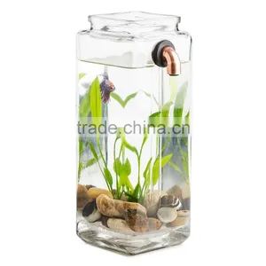my Fish Clean Tank With LED thumbnail-1