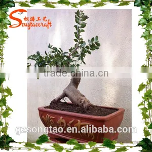 Wholesale Fake Bonsai Fruit Tree Ornamental Artificial Plant Artificial Orange Tree Bonsai thumbnail-2