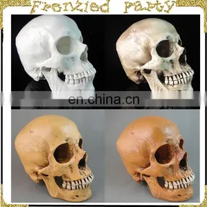 Wholesale Simulation Decorative Party Skull FGHS-0006 thumbnail-1