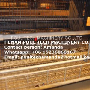 Zimbabwe Poultry Farm Small Chicks Cage & Day Old Chicken Cage With Automatic Feeding Machine Used in Chicken Shed thumbnail-1