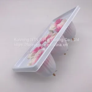 Preserved Rose Preserved Flowers Dried Flowers Birthday Valentine Party Wedding thumbnail-2