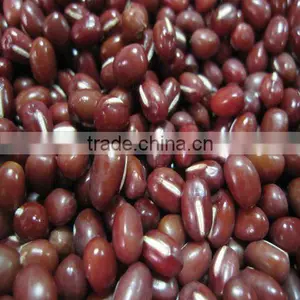 Small Red Bean ( Organic ) thumbnail-1
