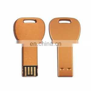 Mini Metal Silver Gold Metal Key Shaped USB 2.0 Flash Drive Memory 4GB 8gb 16gb 32gb 64gb USB Key thumbnail-5