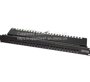 Cat.3 Patch Panels thumbnail-1