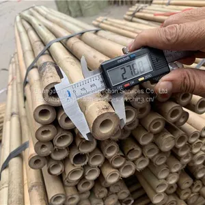 Bamboo Products Inspection Services and Quality Control of Guangdong Huajian Inspection Co., Ltd thumbnail-5