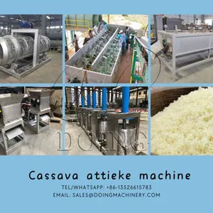 New Condition Cassava Attieke Processing Units Cassava Processing Machine Boyeur-Epucheur for Attieke Production for Sale thumbnail-2