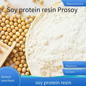 Flexographic Printing Aps Grupa Soy Protein Resin Prosoy 5600 for Water-based Inks thumbnail-2