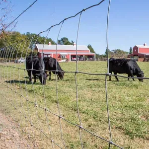 Best Seller Farm Steel Wire Mesh Fence 4ft 5ft 6ft 8ft Height Pasture Fence Animal Fence Wire thumbnail-5