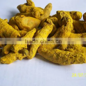 TURMERIC FINGERS thumbnail-1