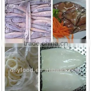 (squid Tube Squid Wings) Frozen Illex Squid thumbnail-1