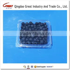 Small Square Clear Plastic Blueberry Container Clamshell thumbnail-2