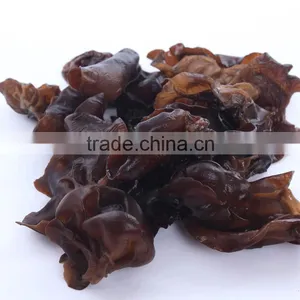 Good Quality Dried Black Fungus in China thumbnail-3