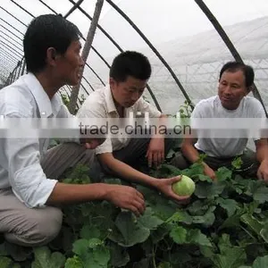 110g/m2 Mesh 50anti Insect Net thumbnail-2