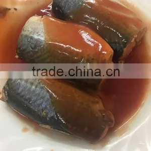 Oval Can Best Canned Sardine in Toamto Sauce Sardinas en Lata en Salsa de Tomate (125g/155g/425g) thumbnail-6