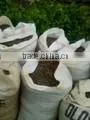 Palm Kernel Shell thumbnail-1