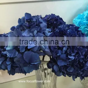 Wholesale Preserved Flower White Hydrangea With High Quality thumbnail-2