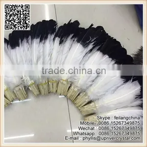 Wedding Party Bridal Wing Decoration White Turkey Black Tip Feather thumbnail-2