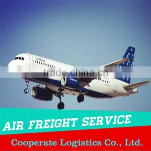 Professtional Door to Door Service Amazon Fba Shipping Company From China to USA Amazon----Apple thumbnail-2