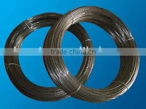 Spring Steel Wire thumbnail-1