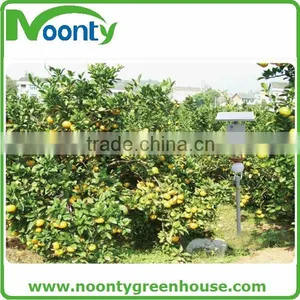 Greenhouse Pest Control thumbnail-5