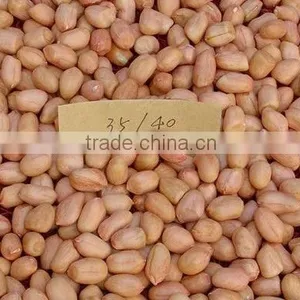 Peanuts for Animal Feeds thumbnail-3