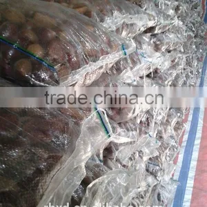 Health Food New Crop Organic Fresh Bulk Chestnuts thumbnail-5
