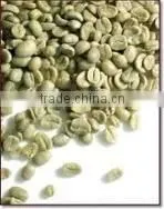 Famouse Green Coffee thumbnail-1