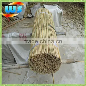 Bamboo Products/First Grade Netherlands Dyed Bamboo Canes 75cm 8--10mm thumbnail-2
