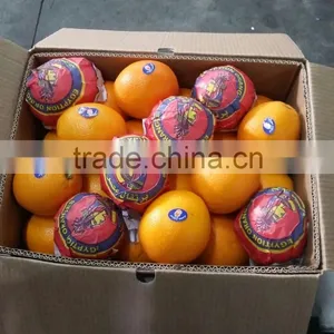 Fresh Navel Orange thumbnail-1