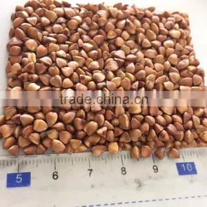 2016- New Crop Roasted Buckwheat Kernel thumbnail-1