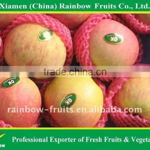 Apple Fruit thumbnail-1