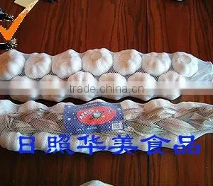 Fresh Garlic thumbnail-1