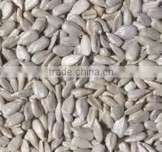 Sunflower Kernels Reasonable Prices Dried Sunflower Seeds Peeled Sunflower Seeds thumbnail-1