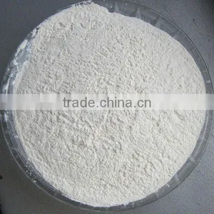White Onion thumbnail-1