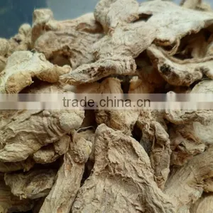 Low Price Gan Jiang Extract Powder thumbnail-1